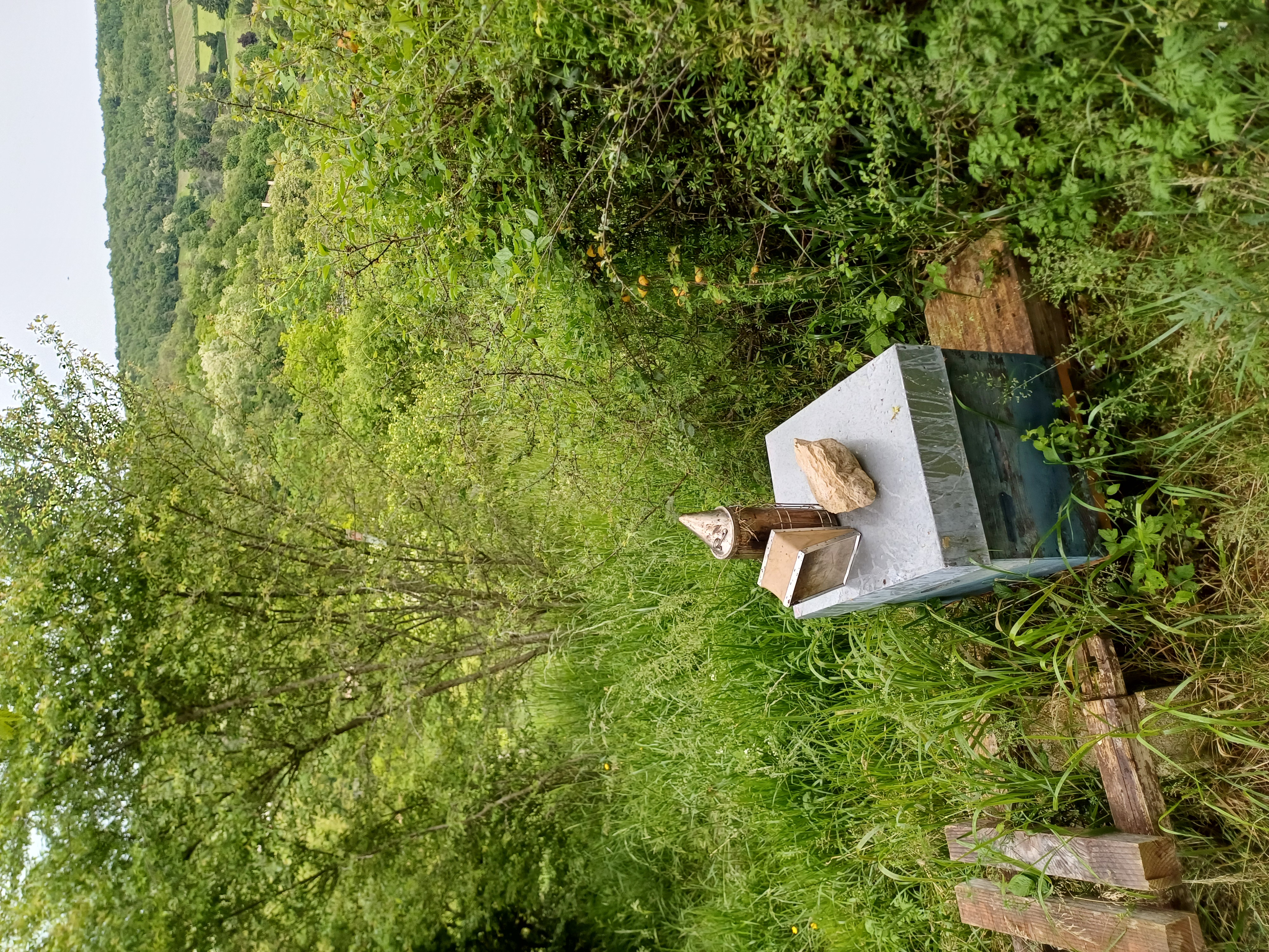 Détail d'une ruche en bois